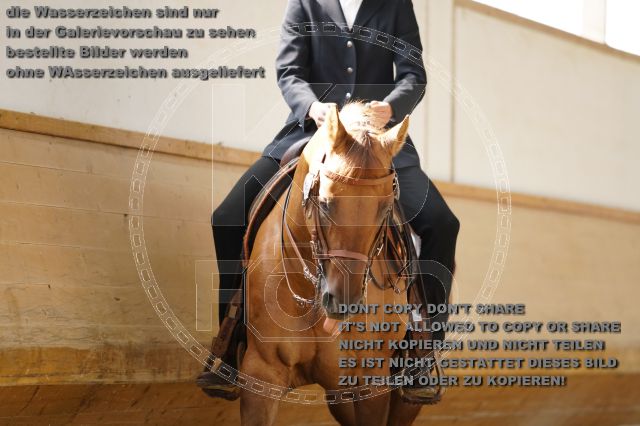 s_K3F01611.JPG